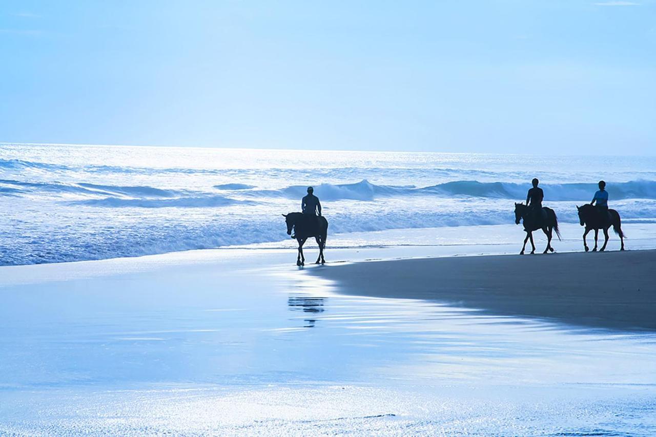 Nantucket Penthouse - Walk To Restaurants Beaches Activies & So Much More ฮาล์ฟมูนเบย์ ภายนอก รูปภาพ
